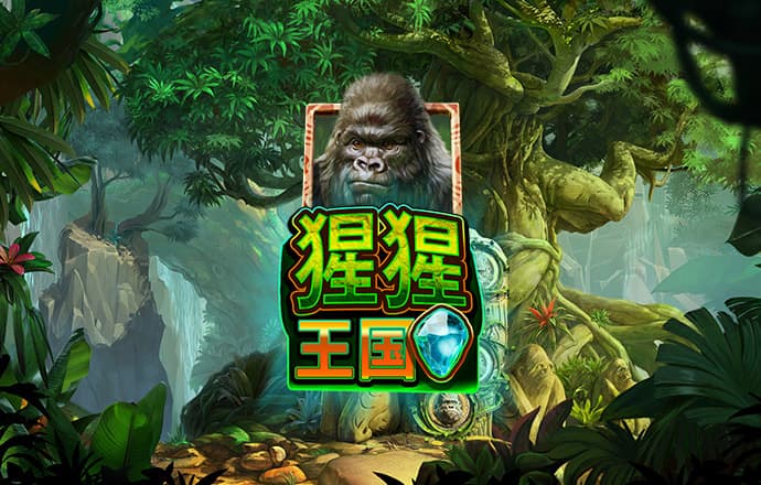 j9九游会网址